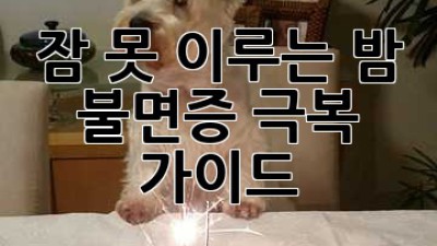 잠 못 이루는 밤? 불면증 극복 가이드