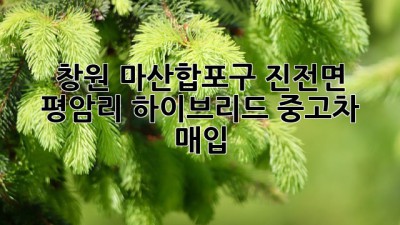 창원 마산합포구 진전면 평암리 하이브리드 중고차 매입