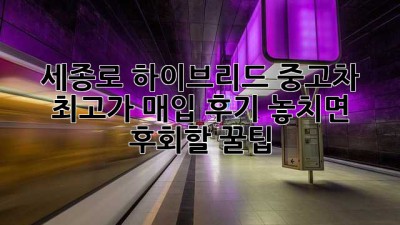 🚗 세종로 하이브리드 중고차 최고가 매입 후기! 놓치면 후회할 꿀팁 🍯